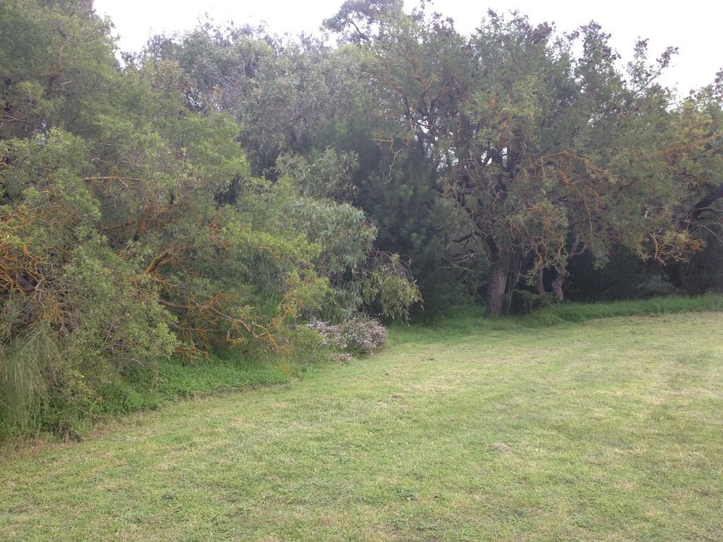 Millicent Lakeside Caravan Park Hotel Exterior photo